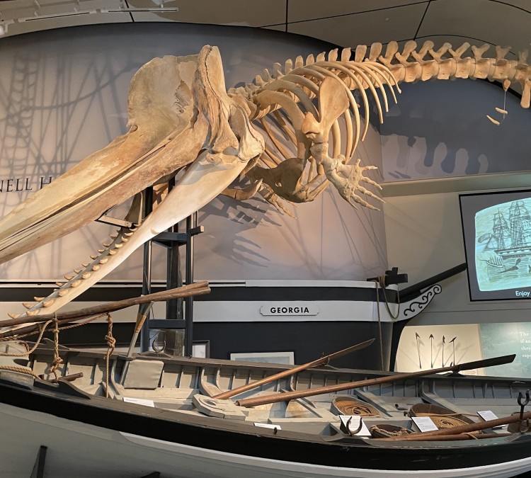 Whaling Museum (Nantucket,&nbspMA)